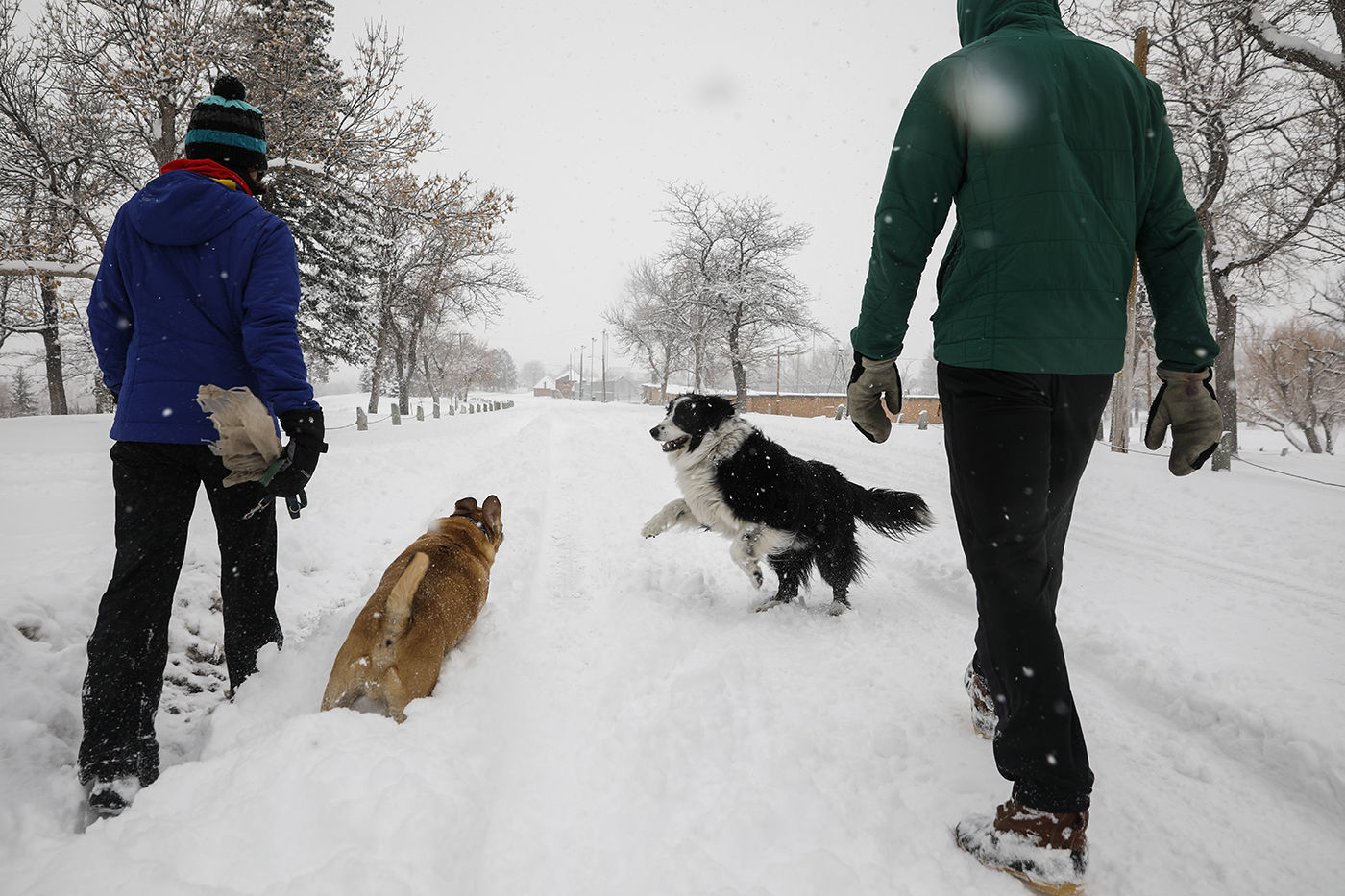 Winter Storm